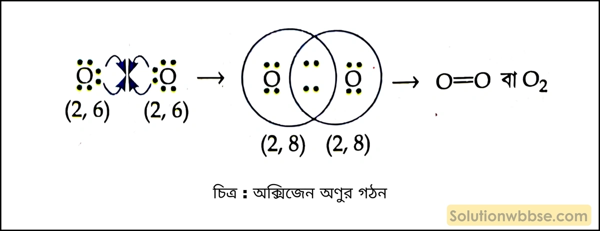 O₂ অণুর লুইস-ডট্ গঠন দেওয়া সম্ভব নয় কেন? 2 অক্সিজেন অণুর গঠন