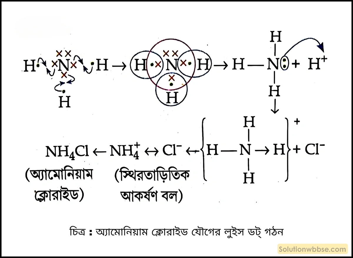 অ্যামোনিয়াম ক্লোরাইড (NH₄Cl) যৌগের লুইস ডট্ গঠন দেখাও। 2 অ্যামোনিয়াম ক্লোরাইড যৌগের লুইস ডট্ গঠন