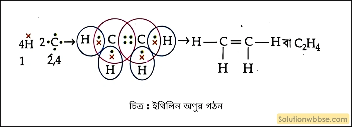 ইথিলিন অণুর ইলেকট্রন ডট্ গঠন দেখাও। 2 ইথিলিন অণুর গঠন