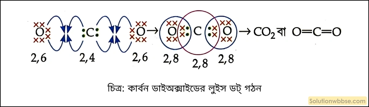 কার্বন ডাইঅক্সাইডের অণুর গঠন বর্ণনা করো। 2 কার্বন ডাইঅক্সাইডের লুইস ডট্ গঠন