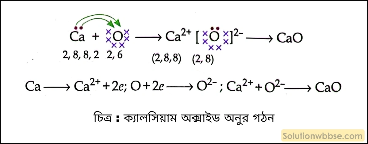 ক্যালশিয়াম অক্সাইড অণুর গঠন বর্ণনা করো। 2 ক্যালসিয়াম অক্সাইড অনুর গঠন