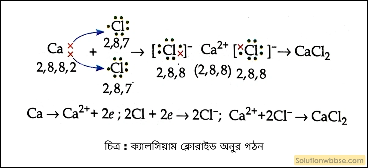 ক্যালশিয়াম ক্লোরাইড অণুর গঠন বর্ণনা করো। 2 ক্যালসিয়াম ক্লোরাইড অনুর গঠন