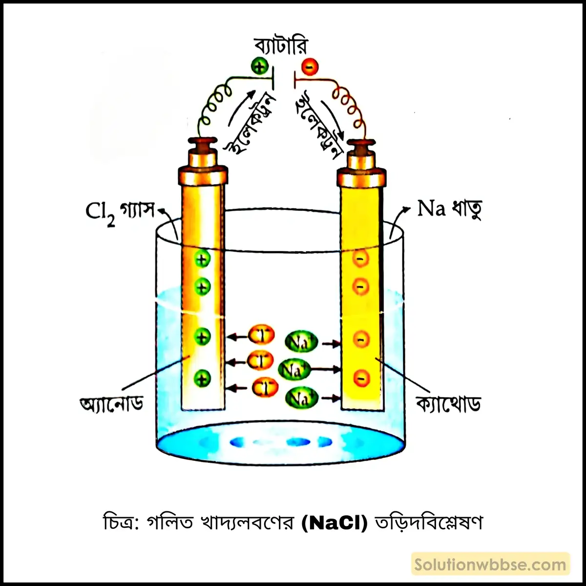 গলিত খাদ্য লবণের তড়িৎবিশ্লেষণে ক্যাথোড ও অ্যানোডে কী কী উৎপন্ন হয় তা ব্যাখ্যা করো। 2 গলিত খাদ্যলবণের (NaCl) তড়িদবিশ্লেষণ