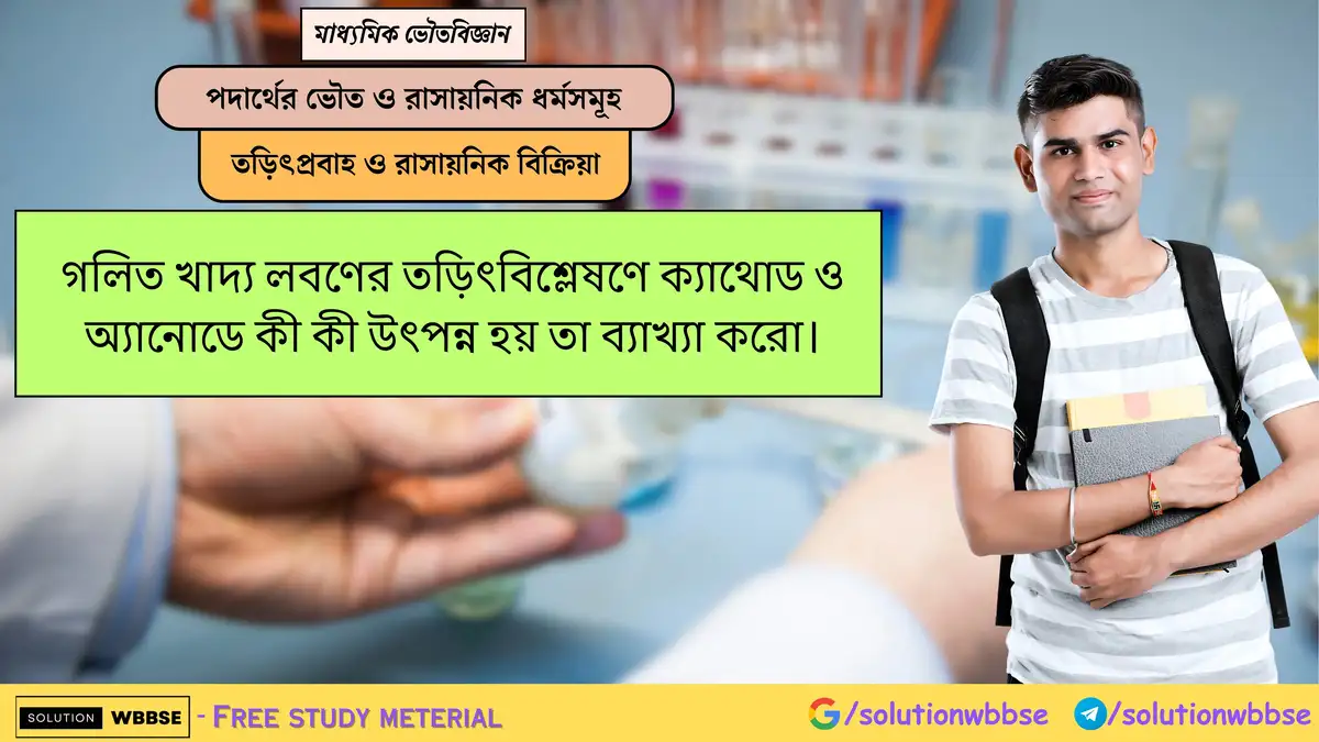 গলিত খাদ্য লবণের তড়িৎবিশ্লেষণে ক্যাথোড ও অ্যানোডে কী কী উৎপন্ন হয় তা ব্যাখ্যা করো। 1 গলিত খাদ্য লবণের তড়িৎবিশ্লেষণে ক্যাথোড ও অ্যানোডে কী কী উৎপন্ন হয় তা ব্যাখ্যা করো।