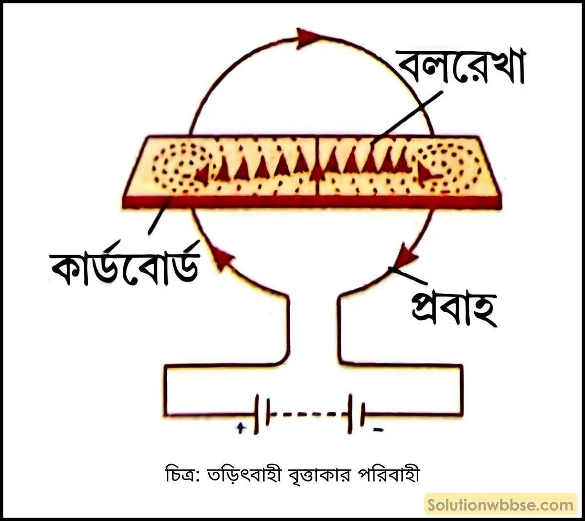 বৃত্তাকার পরিবাহীর মধ্য দিয়ে তড়িৎপ্রবাহ পাঠালে ওই পরিবাহীর চতুর্দিকে যে চৌম্বকক্ষেত্র সৃষ্টি হয় তার বলরেখার প্রকৃতি 2 তড়িৎবাহী বৃত্তাকার পরিবাহী