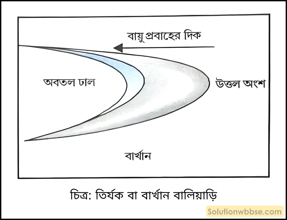 বায়ুর সঞ্চয়কার্যের ফলে সৃষ্ট ভূমিরূপগুলির বর্ণনা দাও। 3 তির্যক বা বার্খান বালিয়াড়ি