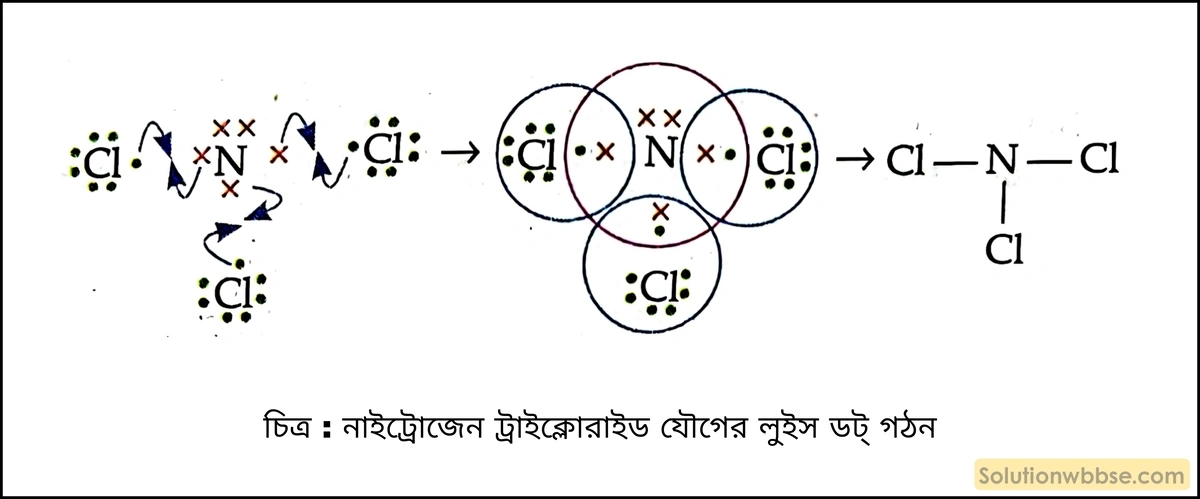 নাইট্রোজেন ট্রাইক্লোরাইড (NCl₃) যৌগের লুইস ডট্ গঠন দেখাও। 2 নাইট্রোজেন ট্রাইক্লোরাইড যৌগের লুইস ডট্ গঠন