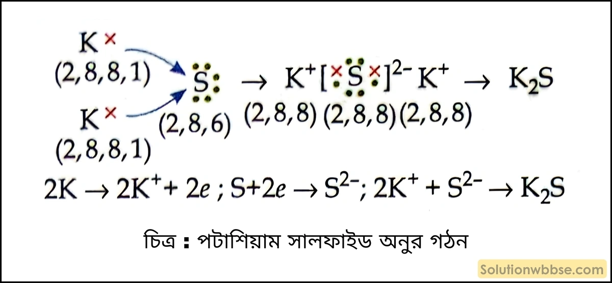 পটাশিয়াম সালফাইড অণুর গঠন বর্ণনা করো। 2 পটাশিয়াম সালফাইড অণুর গঠন