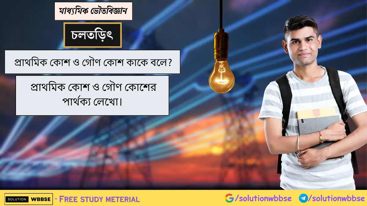 প্রাথমিক কোশ ও গৌণ কোশ কাকে বলে? প্রাথমিক কোশ ও গৌণ কোশের পার্থক্য লেখো।