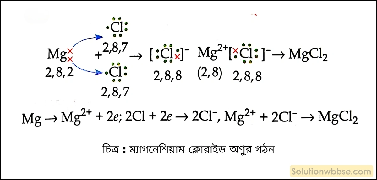 সোডিয়াম ফ্লোরাইড অণুর গঠন দেখাও। 1 ম্যাগনেশিয়াম ক্লোরাইড অণুর গঠন