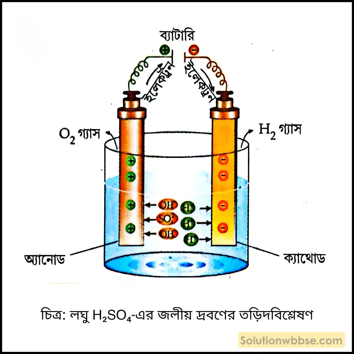 Pt তড়িৎদ্বার দিয়ে লঘু H₂SO₄ এর জলীয় দ্রবণের তড়িৎবিশ্লেষণে ক্যাথোড ও অ্যানোডে কী উৎপন্ন হয়? 2 লঘু H₂SO₄-এর জলীয় দ্রবণের তড়িদবিশ্লেষণ