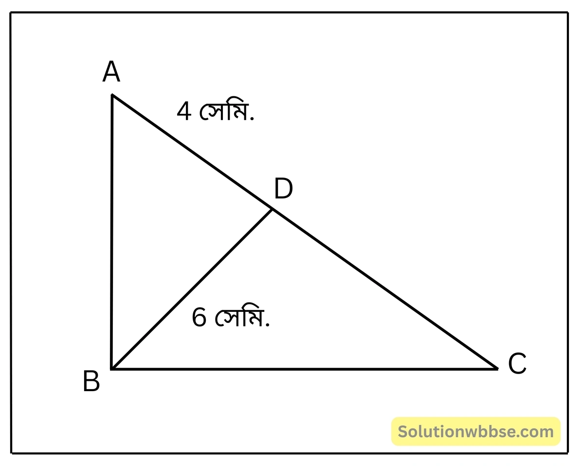মাধ্যমিক গণিত - সদৃশতা - প্রয়োগ 21 সদৃশতা-মাধ্যমিক গণিত
