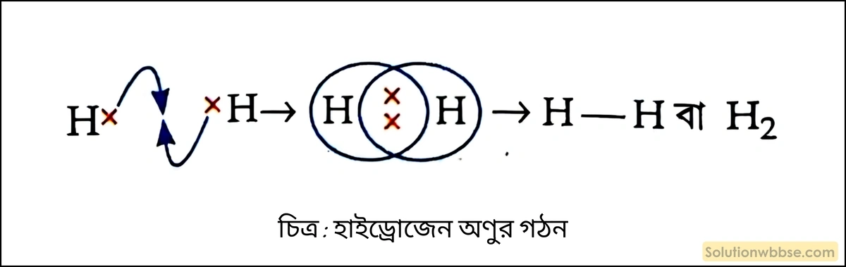 হাইড্রোজেন অণুর গঠন বর্ণনা করো। 2 হাইড্রোজেন অণুর গঠন