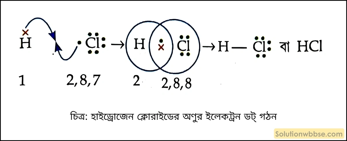 হাইড্রোজেন ক্লোরাইডের অণুর ইলেকট্রন ডট্ গঠন দেখাও। 2 হাইড্রোজেন ক্লোরাইডের অণুর ইলেকট্রন ডট্ গঠন