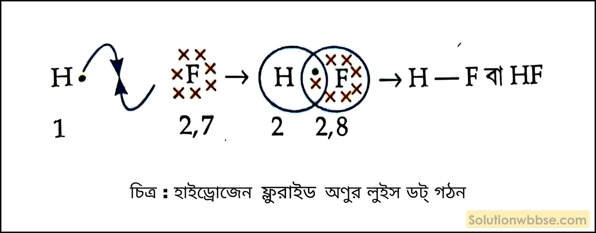 হাইড্রোজেন ফ্লুরাইড অণুর লুইস ডট্ গঠন চিত্র দেখাও। 2 হাইড্রোজেন ফ্লুরাইড অণুর লুইস ডট্ গঠন