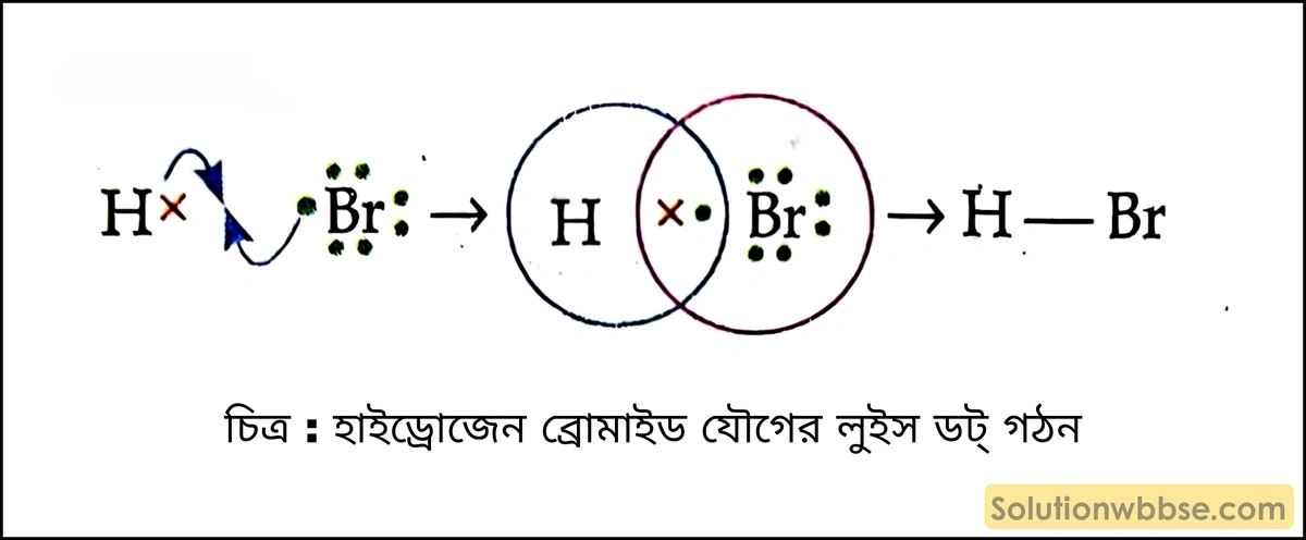 হাইড্রোজেন ব্রোমাইড (HBr) যৌগের লুইস ডট্ গঠন দেখাও। 2 হাইড্রোজেন ব্রোমাইড যৌগের লুইস ডট্ গঠন