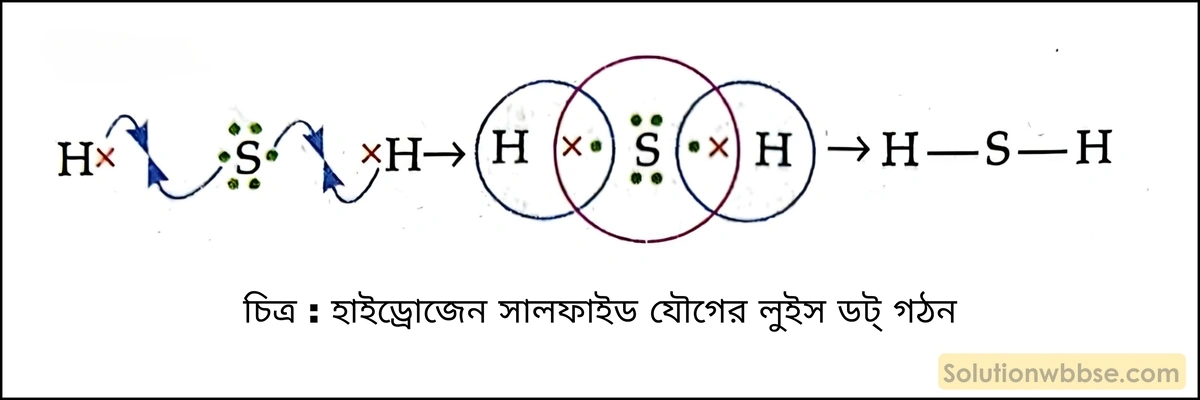 হাইড্রোজেন সালফাইড (H₂S) যৌগের লুইস ডট্ গঠন দেখাও। 2 হাইড্রোজেন সালফাইড যৌগের লুইস ডট্ গঠন