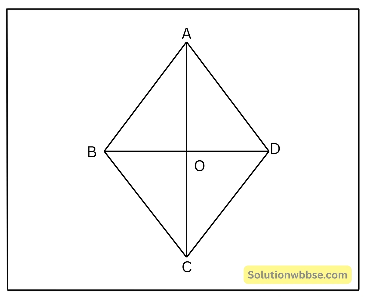 10 সেমি. বাহুবিশিষ্ট কোনো রম্বসের একটি কর্ণের দৈর্ঘ্য 12 সেমি.-পিথাগোরাসের উপপাদ্য