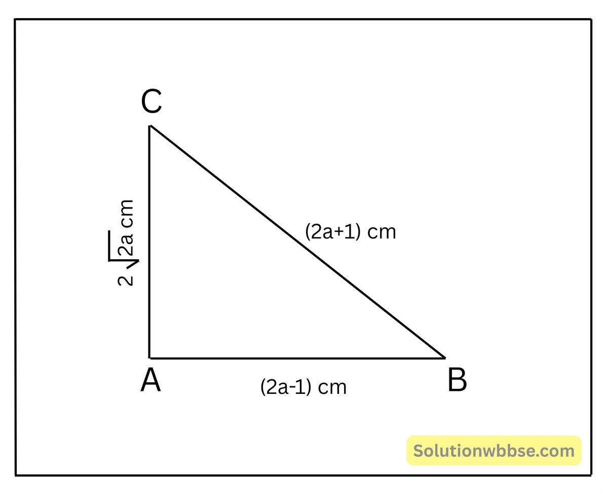ABC ত্রিভুজের AB = (2a-1) সেমি., AC = 2-পিথাগোরাসের উপপাদ্য