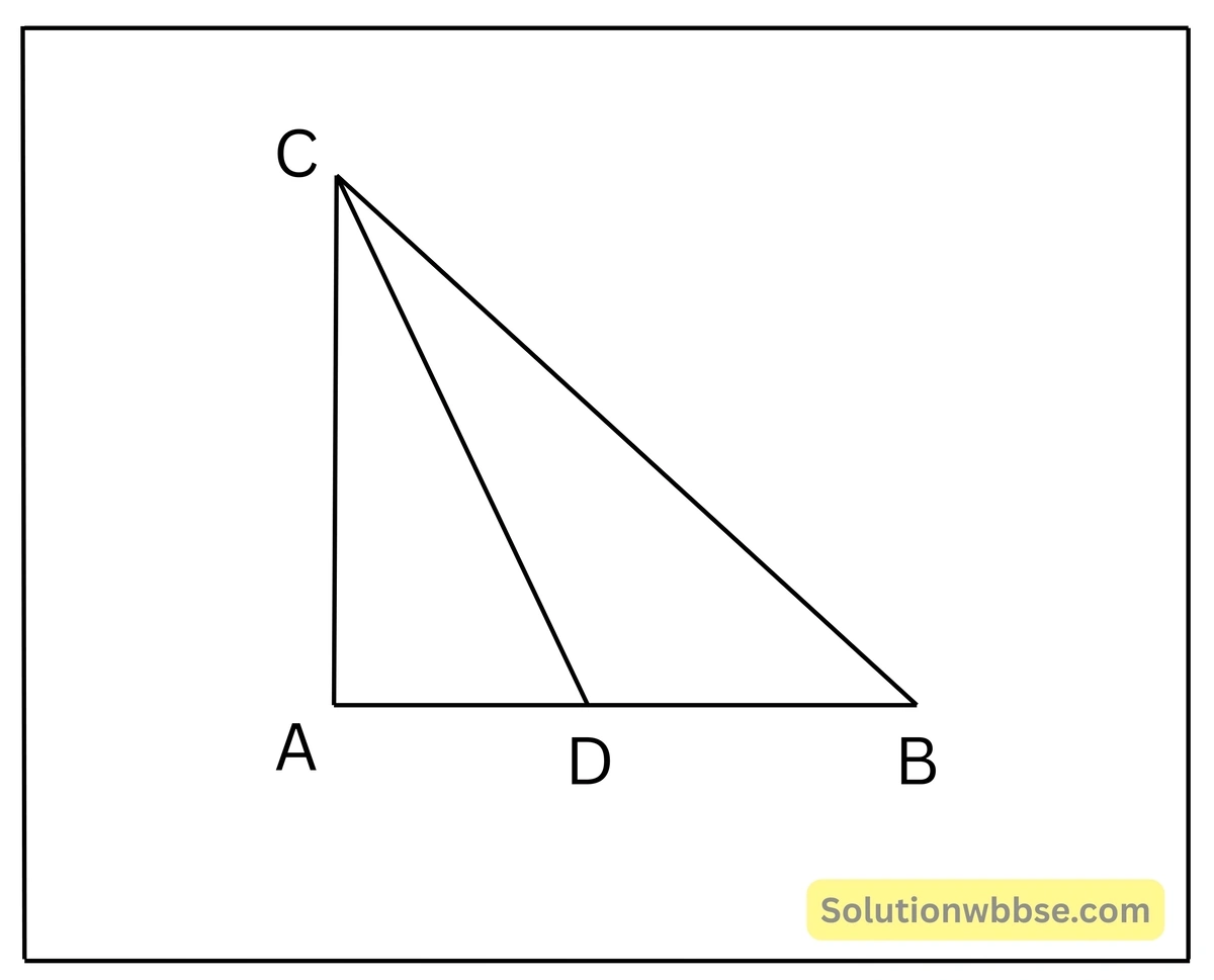 ABC ত্রিভুজের ∠A সমকোণ। CD মধ্যমা হলে, প্রমাণ-পিথাগোরাসের উপপাদ্য