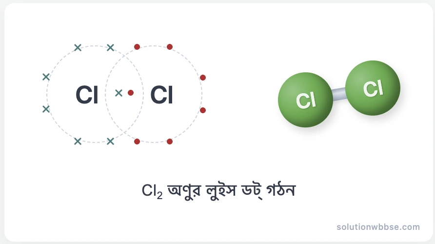 Cl₂ অণুর লুইস ডট্ গঠন