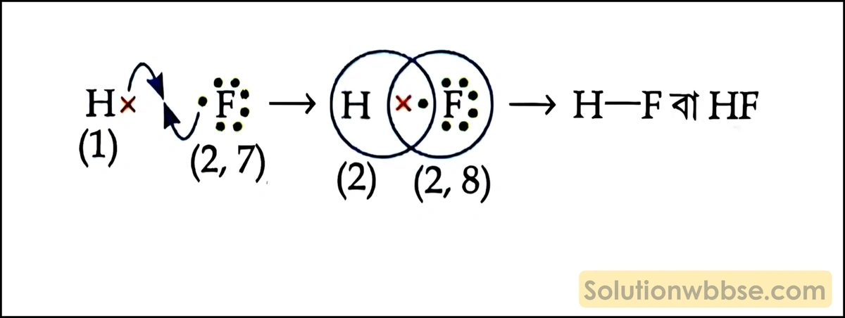 F সমযোজী বন্ধন গঠন করে H -এর সঙ্গে