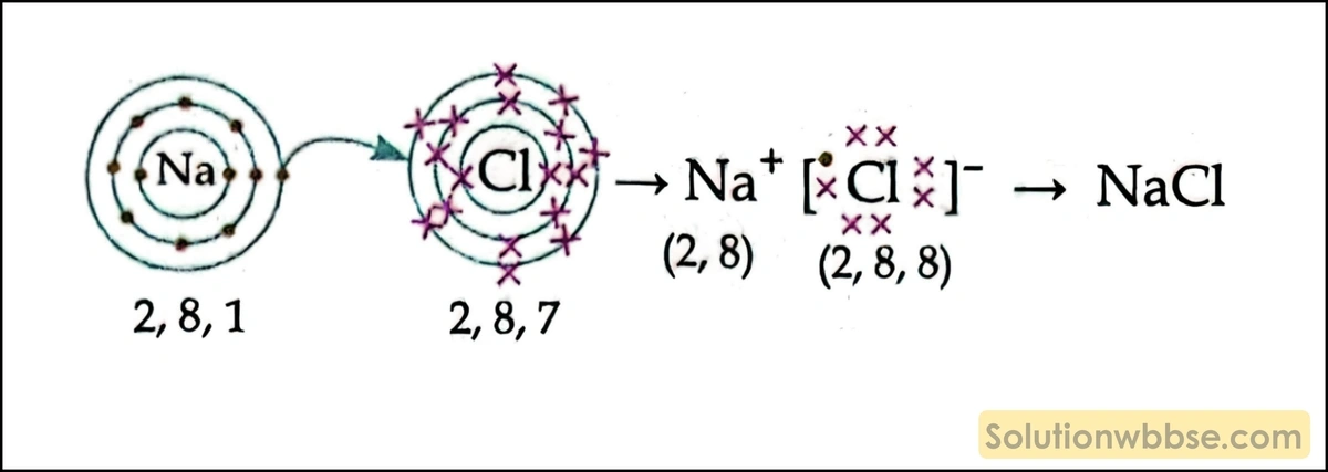 NaCl -এর লুইস ডট চিত্র অঙ্কন করো। 3 NaCl -এর লুইস ডট চিত্র