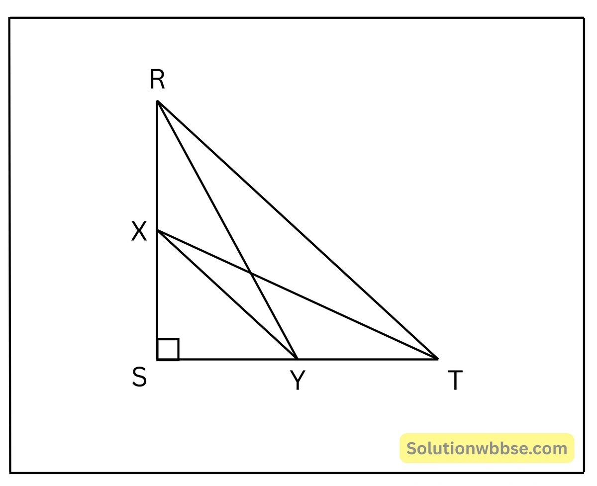 RST ত্রিভুজের ∠S সমকোণ। RS ও ST বাহুদ্বয়ের মধ্যবিন্দু-পিথাগোরাসের উপপাদ্য