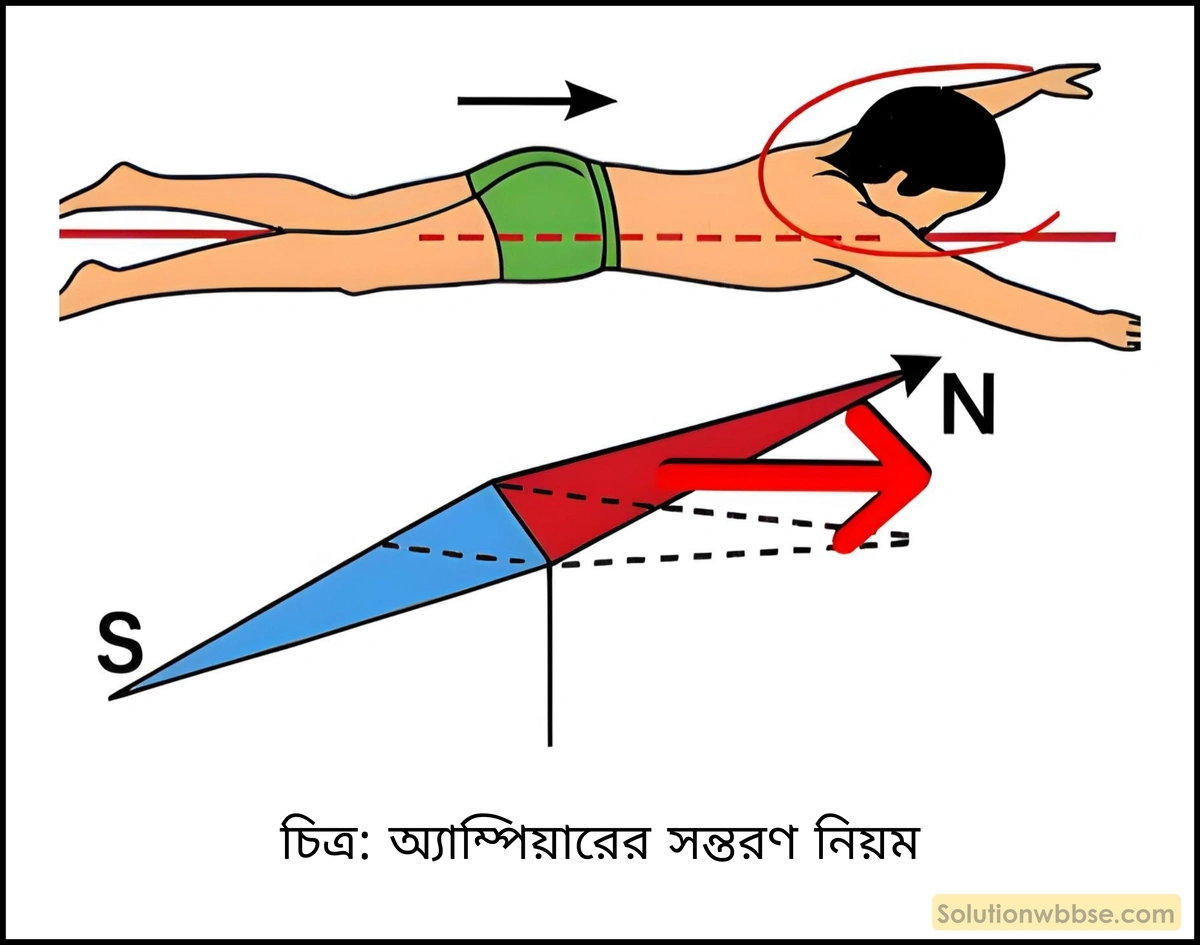 অ্যাম্পিয়ারের সন্তরণ নিয়ম