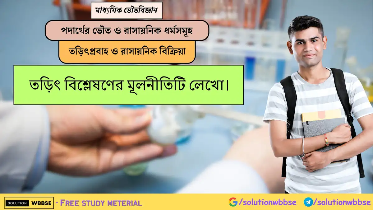 তড়িৎ বিশ্লেষণের মূলনীতিটি লেখো।