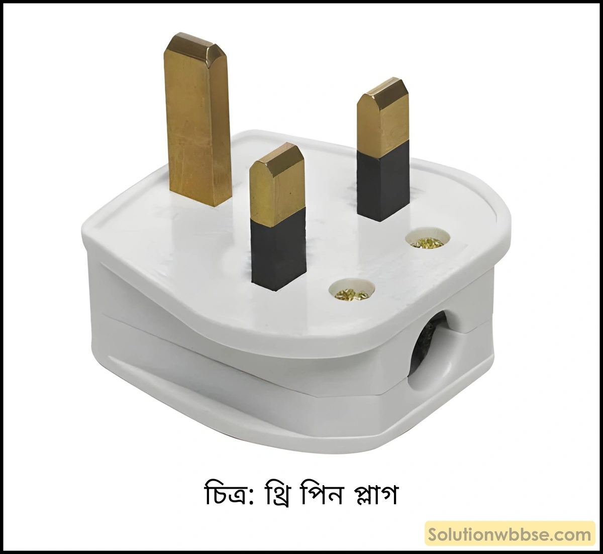 থ্রি পিন প্লাগ