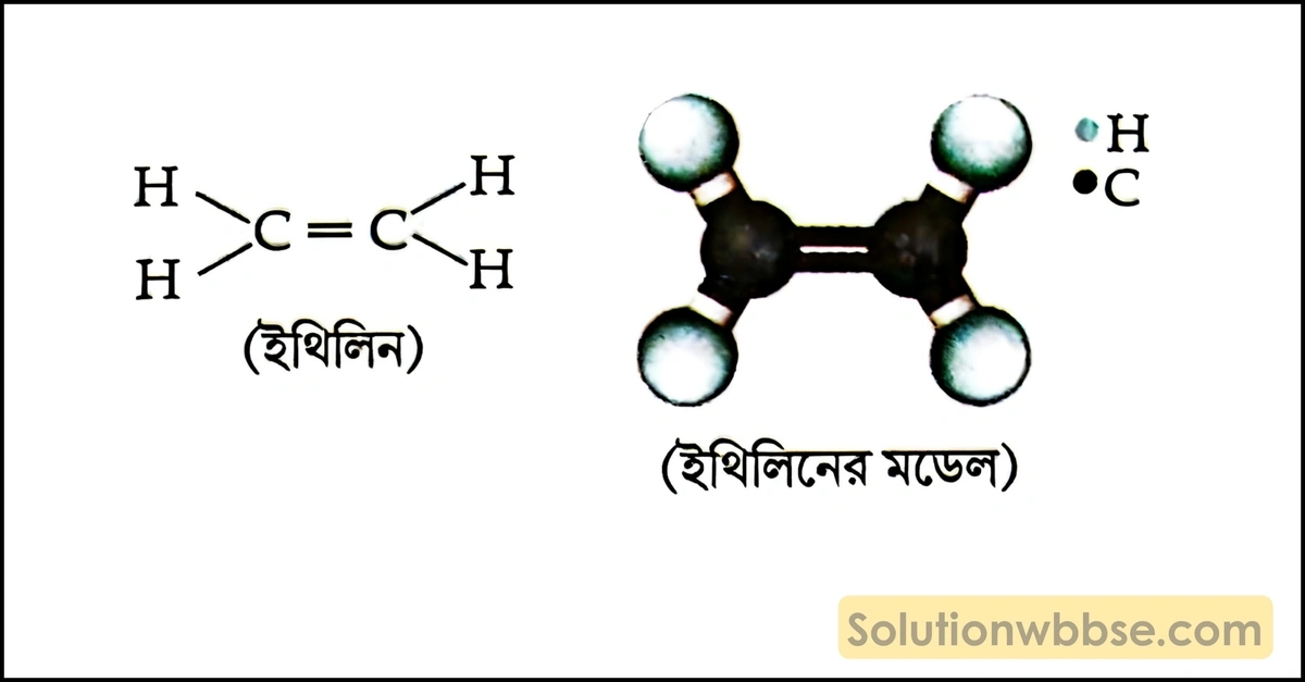 ইথিলিন অণুর গঠন লেখো। 2 ইথিলিন অণুর গঠন
