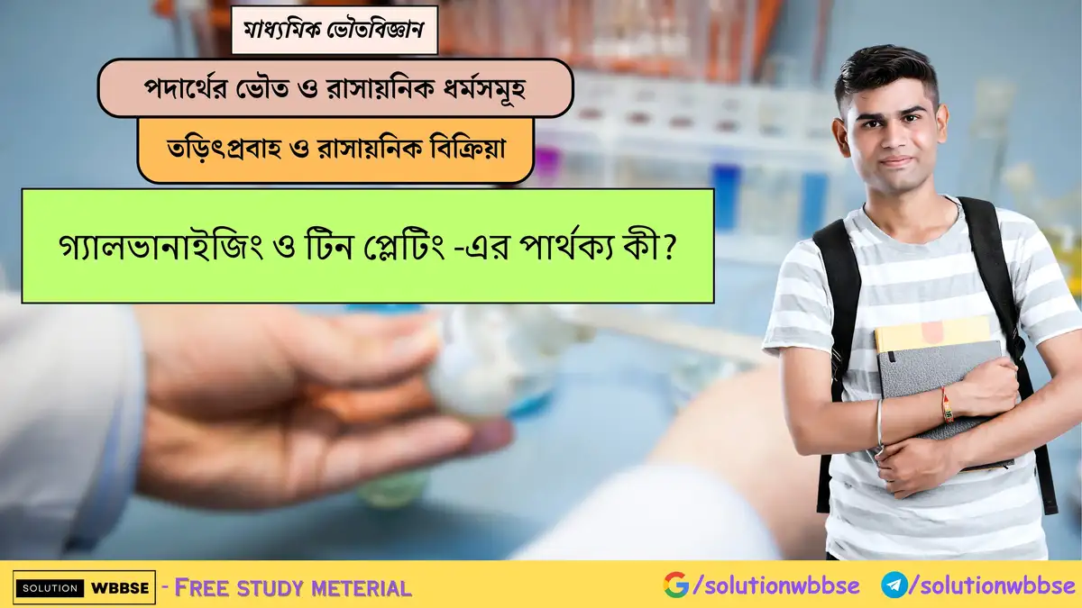 গ্যালভানাইজিং ও টিন প্লেটিং -এর পার্থক্য কী?