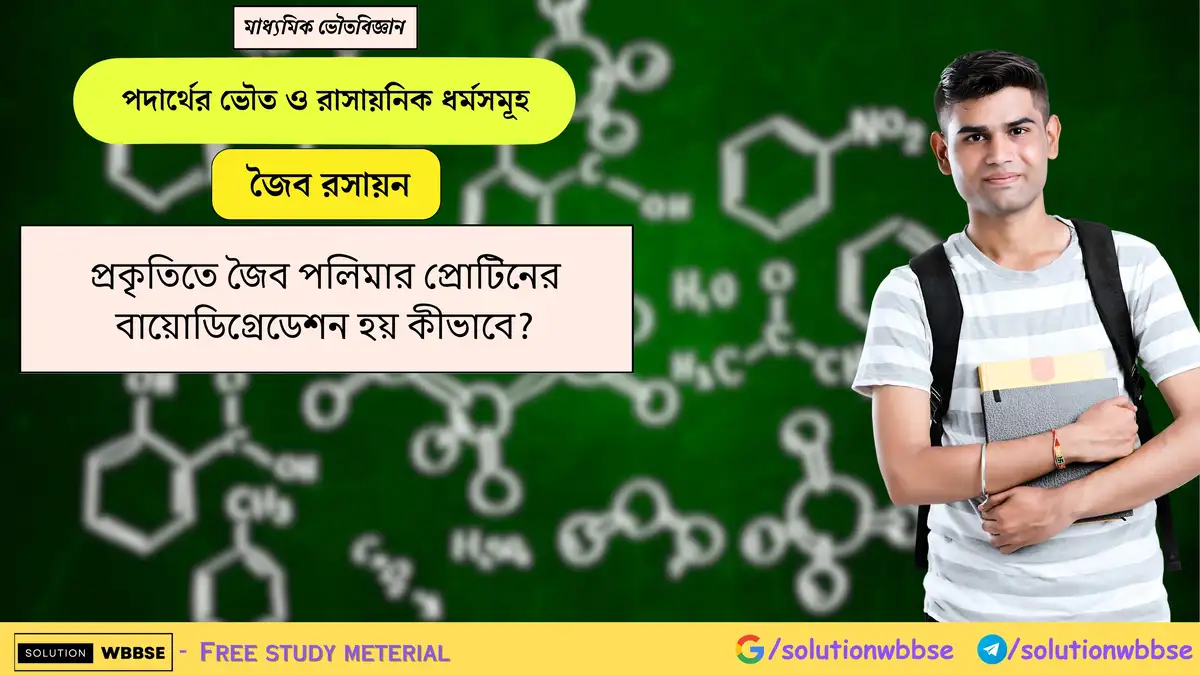 প্রকৃতিতে জৈব পলিমার প্রোটিনের বায়োডিগ্রেডেশন হয় কীভাবে? 1 প্রকৃতিতে জৈব পলিমার প্রোটিনের বায়োডিগ্রেডেশন হয় কীভাবে?