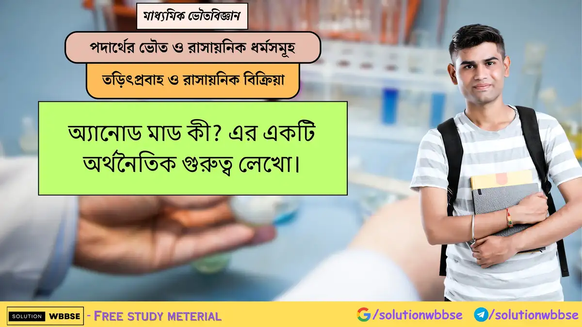 অ্যানোড মাড কী? এর একটি অর্থনৈতিক গুরুত্ব লেখো।