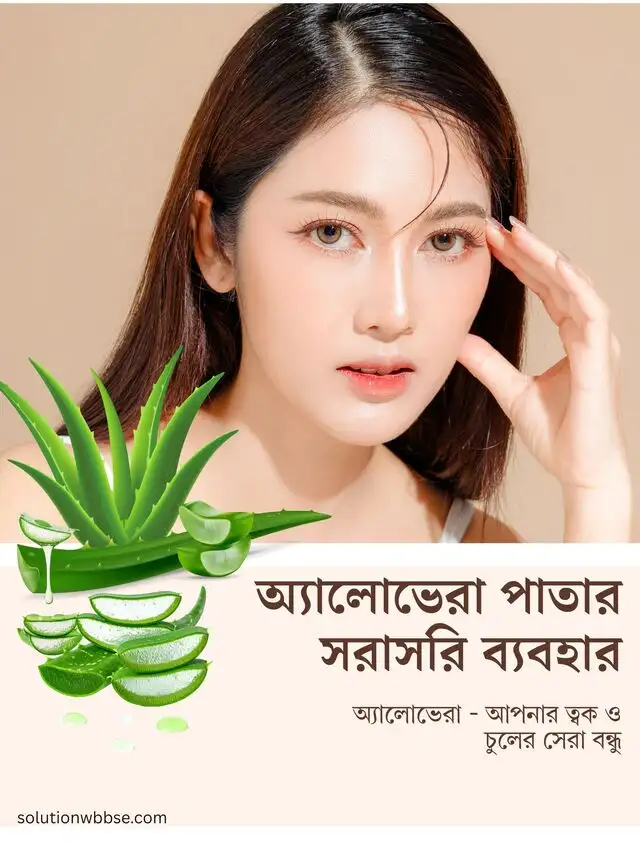 অ্যালোভেরা পাতার সরাসরি ব্যবহার ও প্রাকৃতিক উপকারিতা