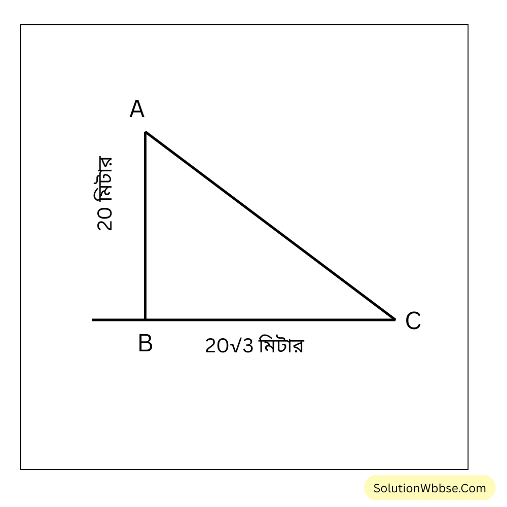 সূর্যের উন্নতি কোণ কত হলে 20 মিটার লম্বা লাঠির ছায়ার দৈর্ঘ্য