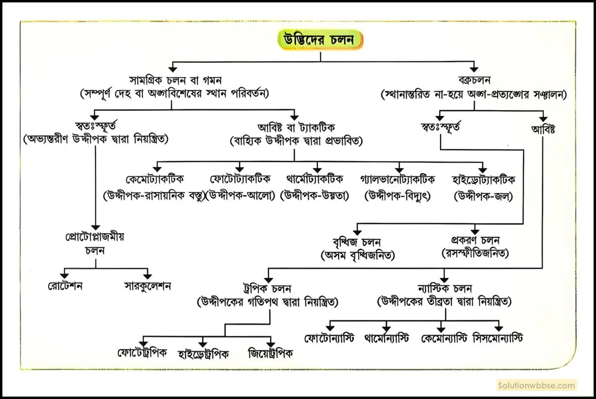 উদ্ভিদের চলন