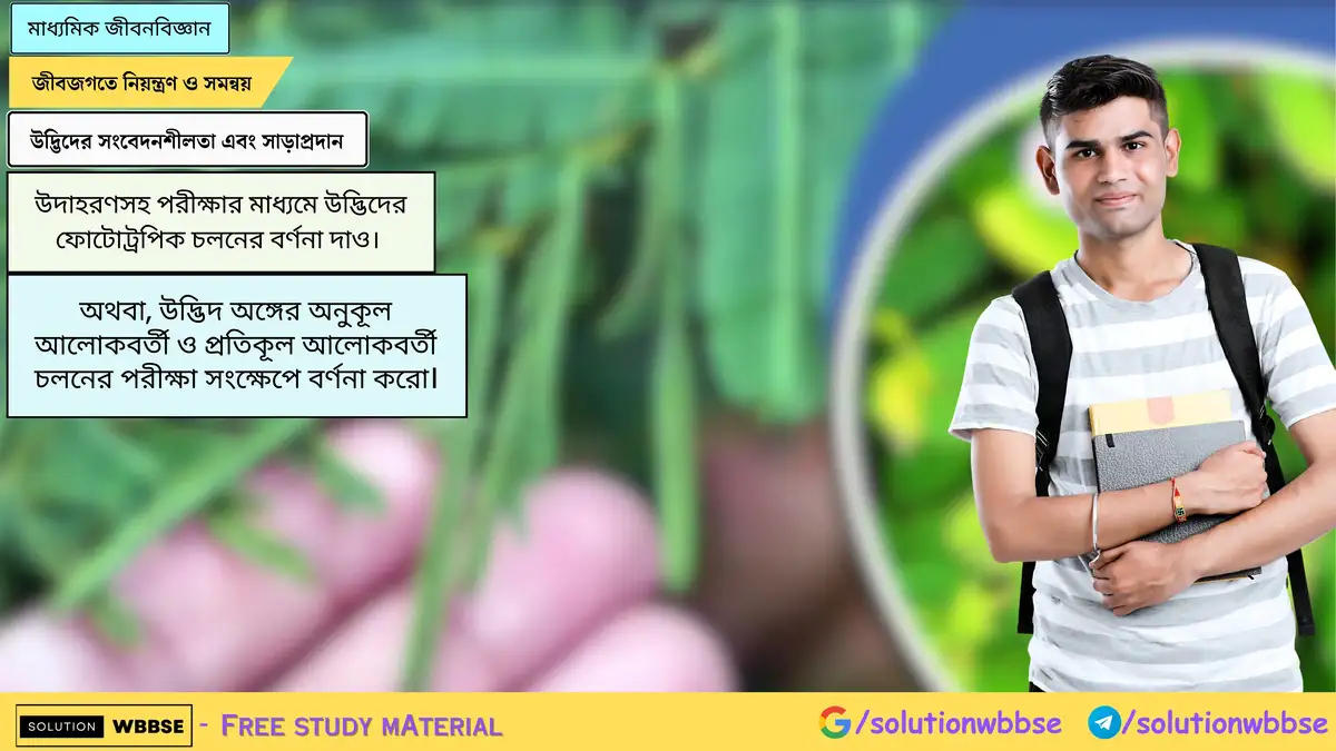 উদ্ভিদ অঙ্গের অনুকূল আলোকবর্তী ও প্রতিকূল আলোকবর্তী চলনের পরীক্ষা সংক্ষেপে বর্ণনা করো।