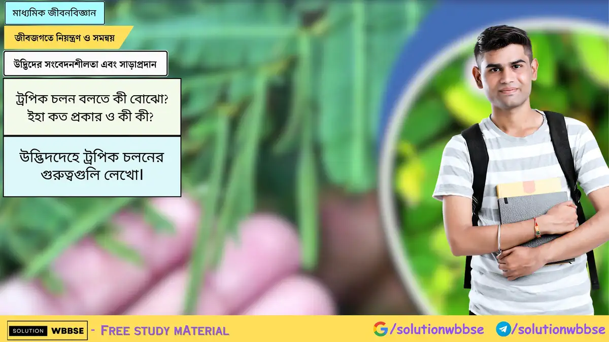 ট্রপিক চলন বলতে কী বোঝো? ইহা কত প্রকার ও কী কী? উদ্ভিদদেহে ট্রপিক চলনের গুরুত্বগুলি লেখো।