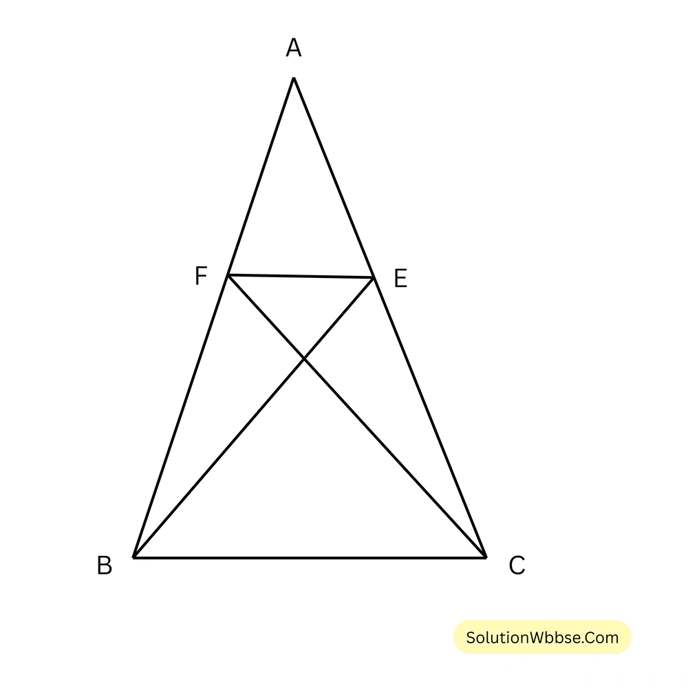 ABC ত্রিভুজের AB = AC; BE ও CF