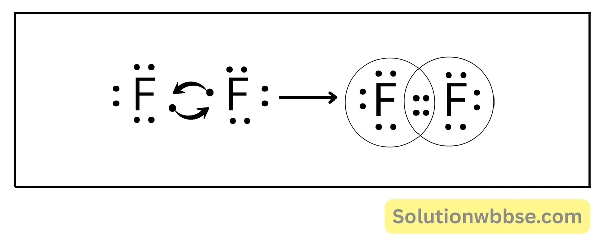 Madhyamik Physical Science Suggestion 2026 - অতিসংক্ষিপ্ত প্রশ্ন 5 F2 অণুর লুইস ডট চিত্র অঙ্কন