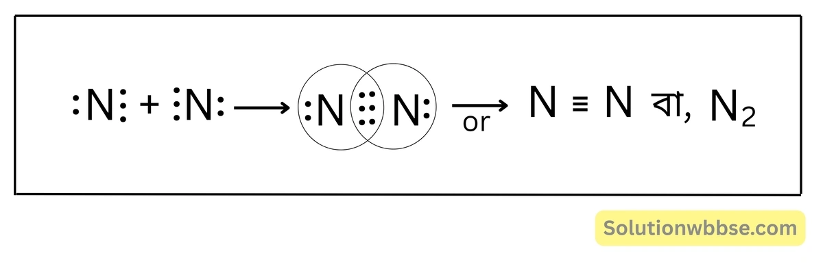 N2 অণুর লুইস ডট