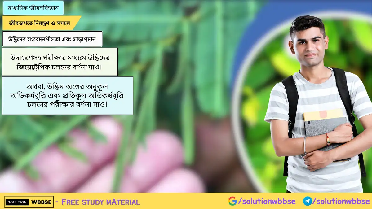 Home 7 উদ্ভিদ অঙ্গের অনুকূল অভিকর্ষবৃত্তি এবং প্রতিকূল অভিকর্ষবৃত্তি চলনের পরীক্ষার বর্ণনা দাও।