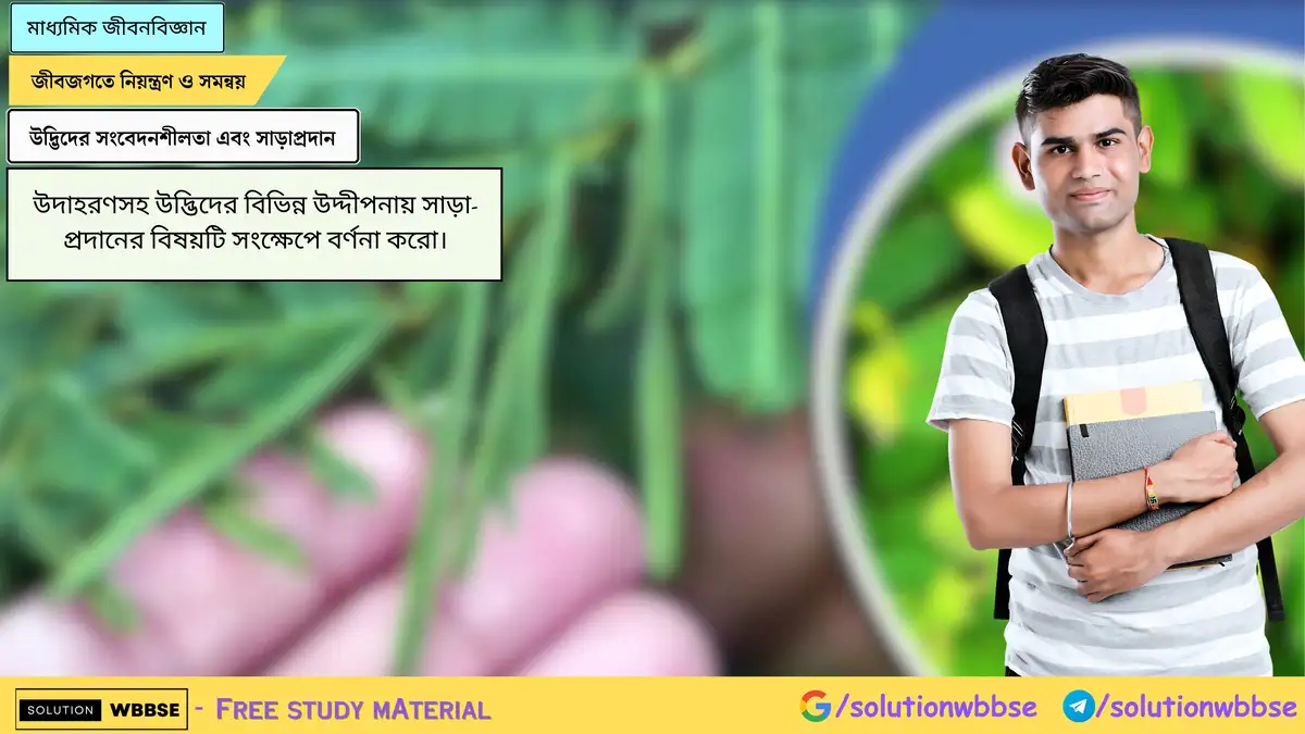 উদ্ভিদের বিভিন্ন উদ্দীপনায় সাড়া-প্রদানের বিষয়টি উদাহরণসহ সংক্ষেপে বর্ণনা করো।