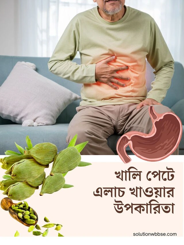 খালি পেটে এলাচ খাওয়ার উপকারিতা