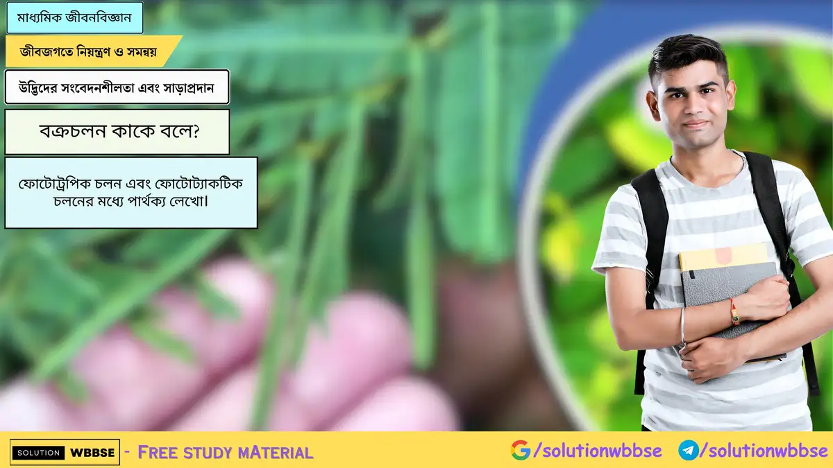 বক্রচলন কাকে বলে? বক্রচলন কত প্রকারের হয় ও কী কী এবং তাদের সংজ্ঞা লেখো।