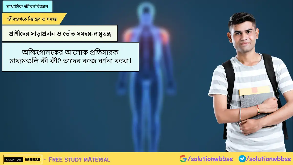 অক্ষিগোলকের আলোক প্রতিসারক মাধ্যমগুলি কী কী? তাদের কাজ বর্ণনা করো। 1 অক্ষিগোলকের আলোক প্রতিসারক মাধ্যমগুলি কী কী? তাদের কাজ বর্ণনা করো।
