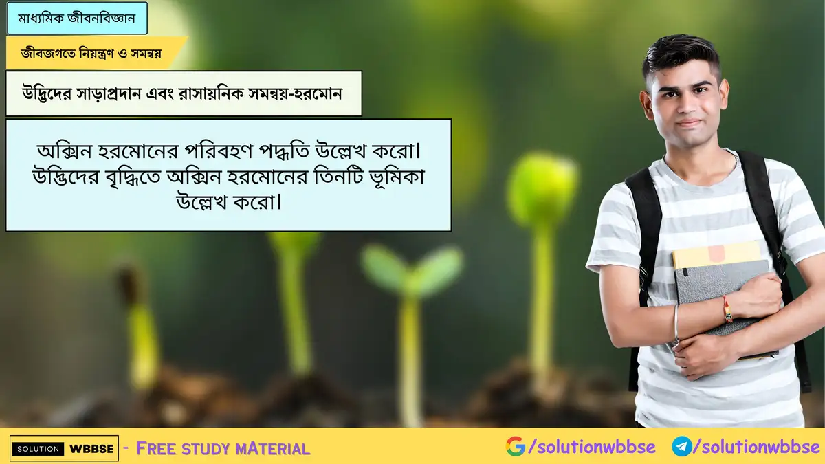 অক্সিন হরমোনের পরিবহণ পদ্ধতি উল্লেখ করো। উদ্ভিদের বৃদ্ধিতে অক্সিন হরমোনের তিনটি ভূমিকা উল্লেখ করো।