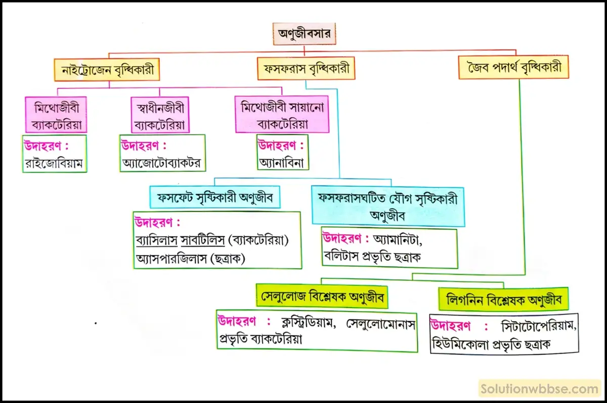 নবম শ্রেণী জীবনবিজ্ঞান - জীববিদ্যা ও মানবকল্যাণ - রচনাধর্মী প্রশ্ন ও উত্তর 14 অণুজীবসারের প্রকারভেদ